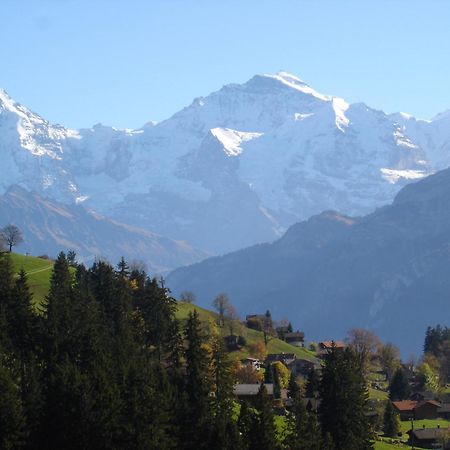 Chalet Sunneschyn Schwanden  Exteriér fotografie