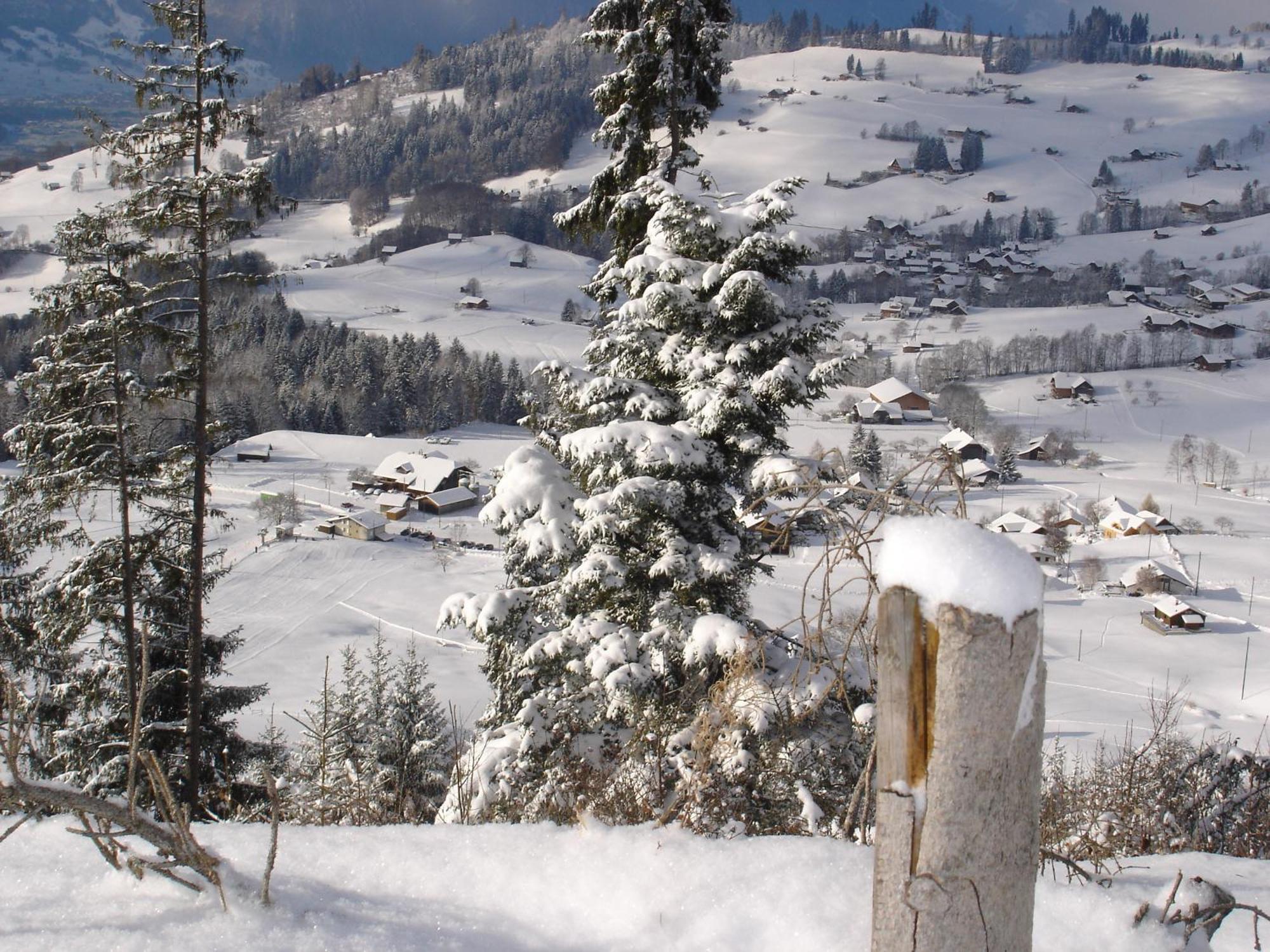 Chalet Sunneschyn Schwanden  Exteriér fotografie